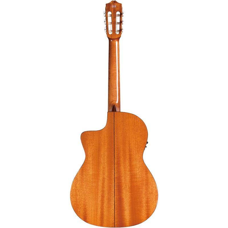 Cordoba (コルドバ) エレガット ギター IBERIA シリーズ イングルマンスプルーストップ C5-CE SP 国内正規品｜etotvil2｜03