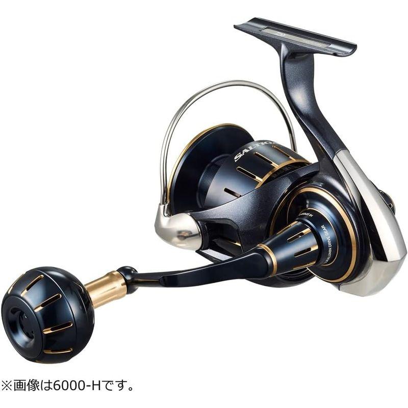 ダイワ(DAIWA) ジギング、ショアジギング、キャスティング スピニングリール 23ソルティガ 6000-XH｜etotvil2｜07