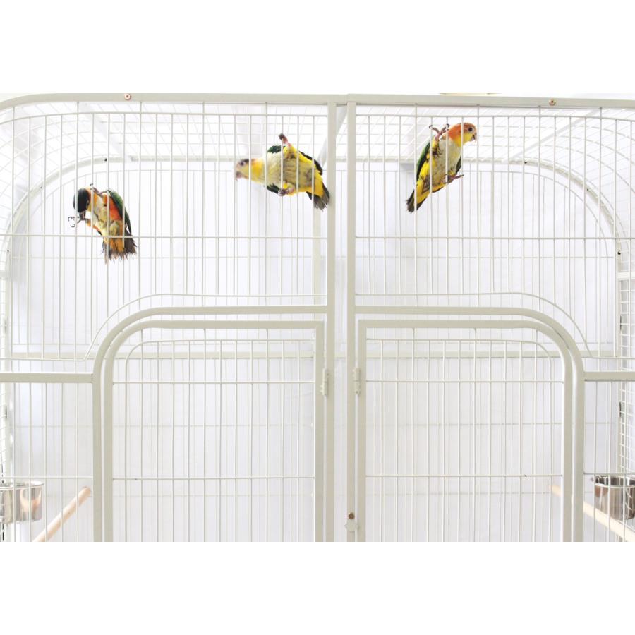 訳あり】5%OFF バードケージ 鳥かご 大型 IRCGB050 : えとぴりか