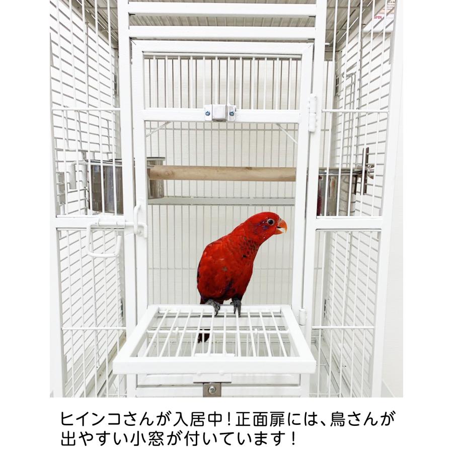 えとぴりか製 ストロングバードケージ