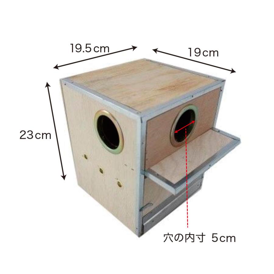 巣箱 ラブバード サザナミインコ ウロコインコなど 鳥 インコ : えと