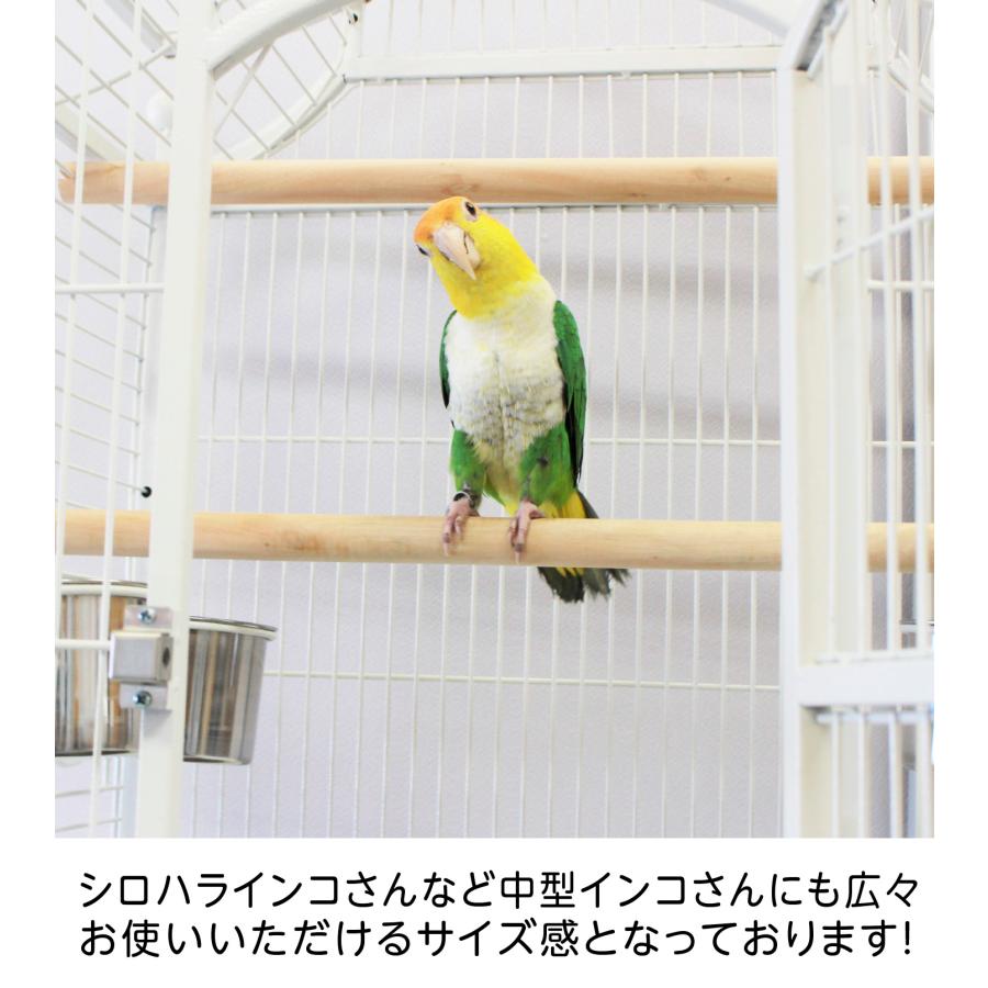 バードケージ 鳥かご IRCGB023 : えとぴりかオンラインショップ - 通販
