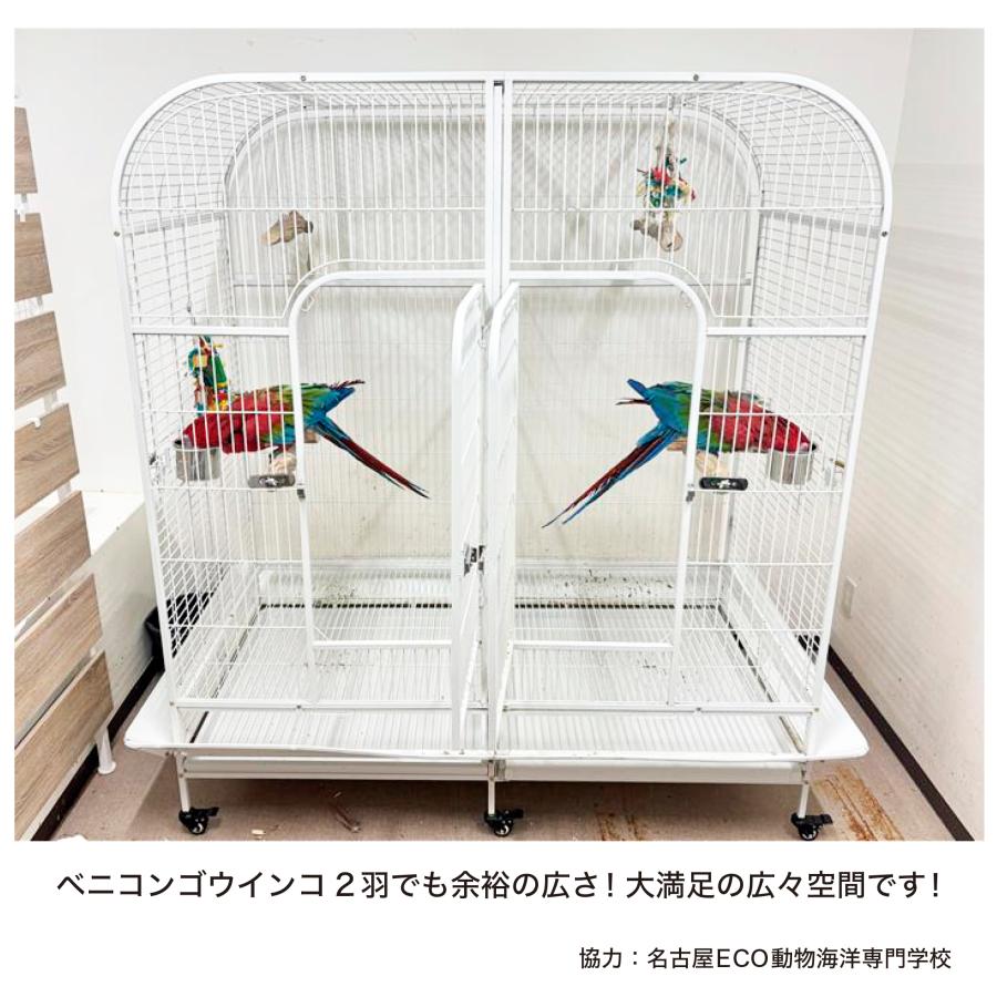 バードケージ 鳥かご 大型 IRCGB050 : えとぴりかオンライン バードケージ 鳥かご 大型 IRCGB050 : えとぴりかオンライン