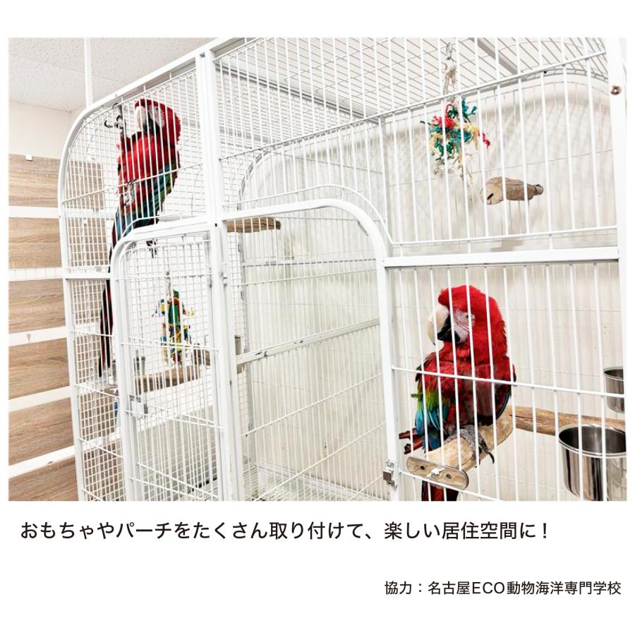 バードケージ 鳥かご 大型 IRCGB050 : えとぴりかオンライン バードケージ 鳥かご 大型 IRCGB050 : えとぴりかオンライン