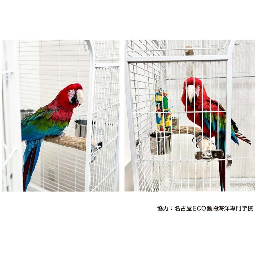 バードケージ 鳥かご 大型 IRCGB050 : えとぴりかオンライン バードケージ 鳥かご 大型 IRCGB050 : えとぴりかオンライン