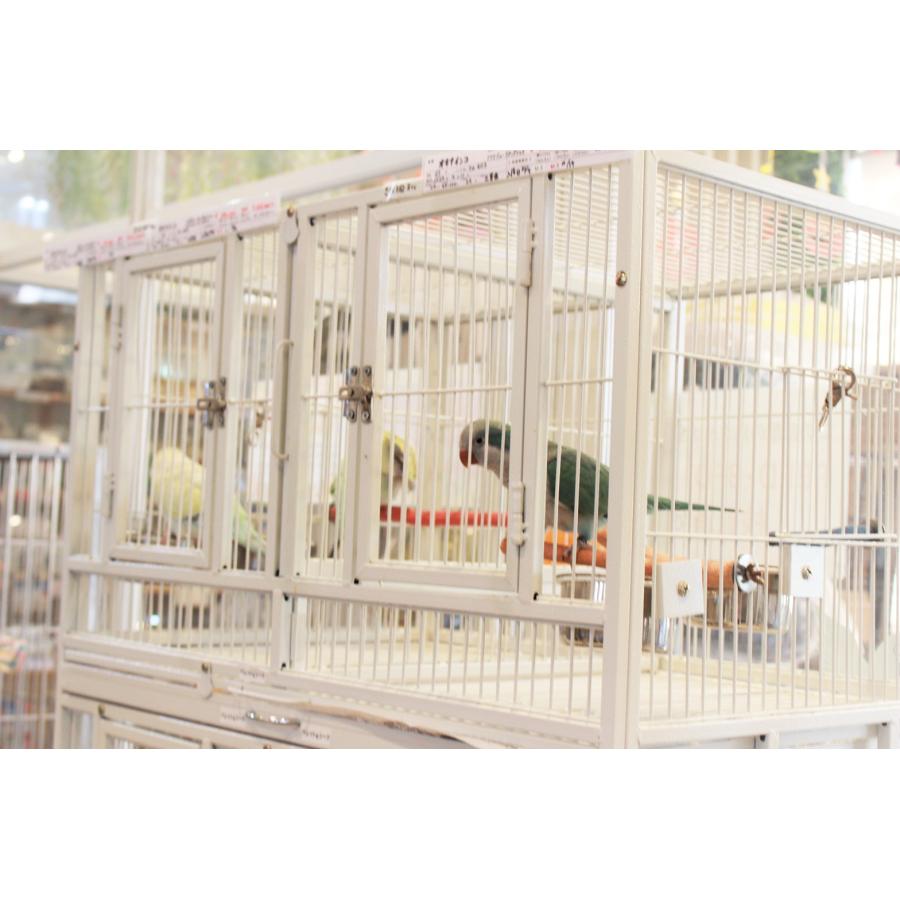 バードケージ 鳥かご 大型 IRCGB053 : えとぴりかオンラインショップ