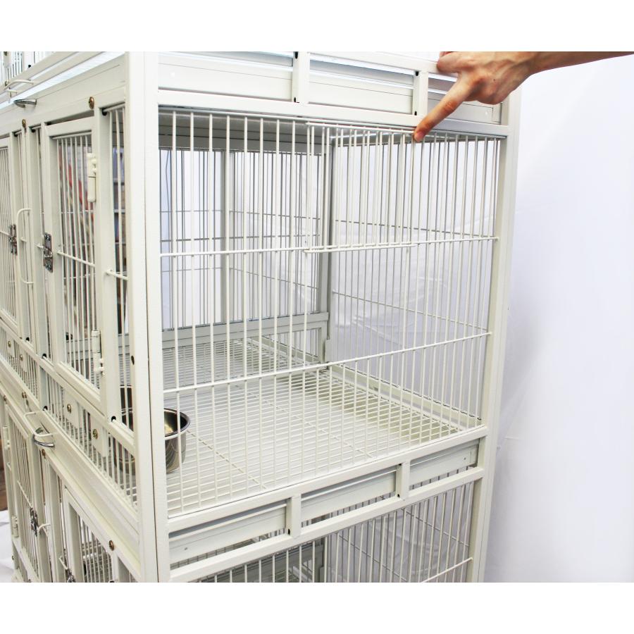 えとぴりか バードケージ