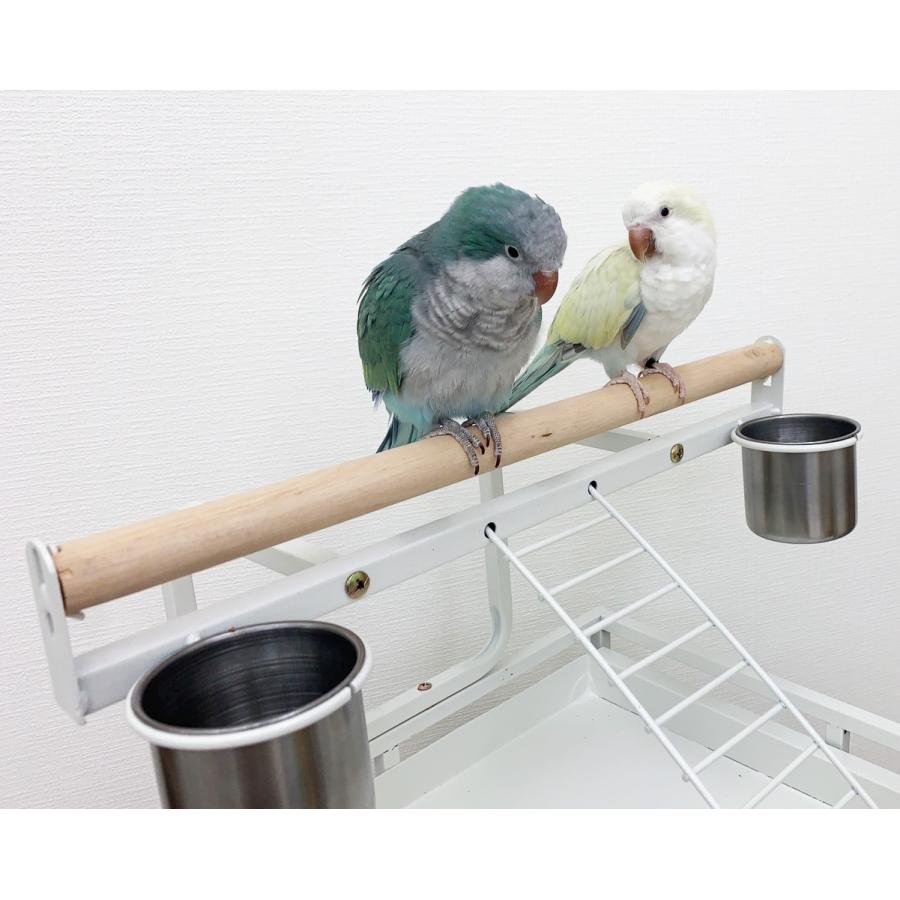 バードケージ 鳥かご IRCGB065 : えとぴりかオンラインショップ - 通販