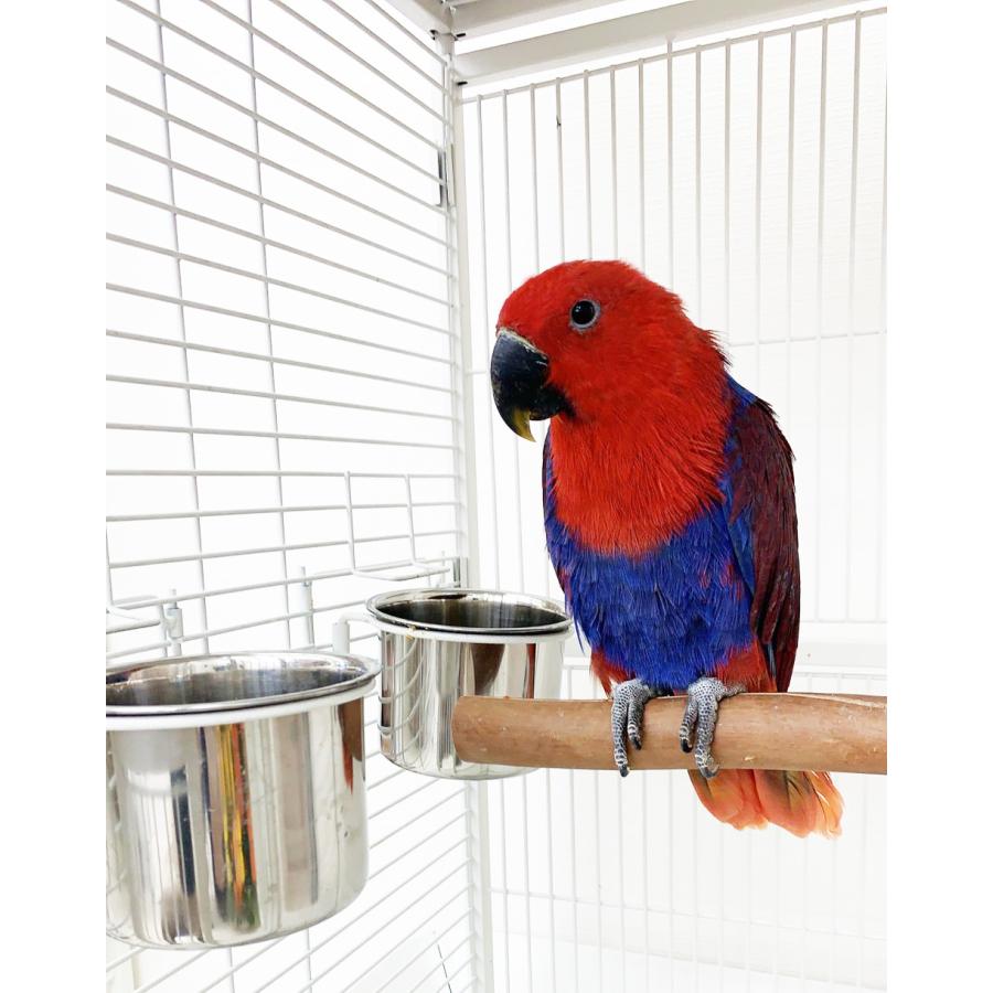 えとぴりか バードケージ 鳥かご 2017PP etpk_b050