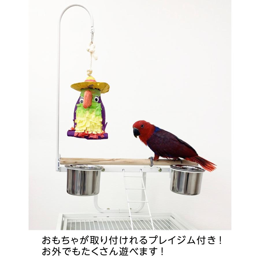 バードケージ 鳥かご IRCGB066 : えとぴりかオンラインショップ - 通販