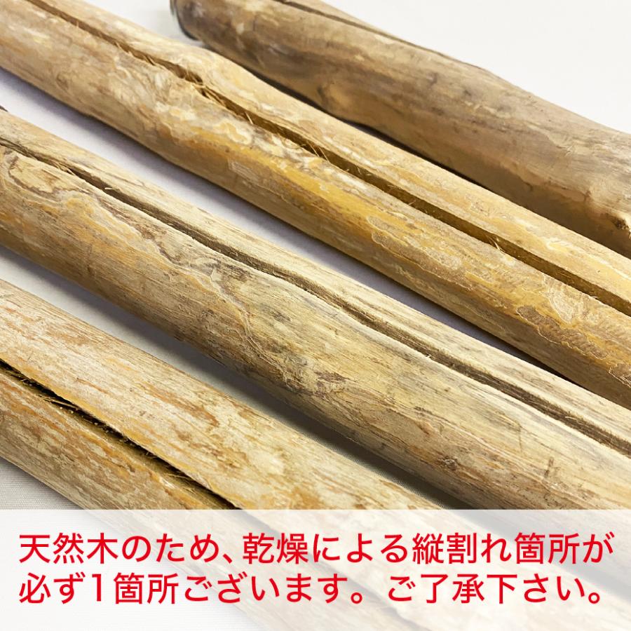 パーチ 止まり木 ジャワツリーパーチ 20SM 長さ20cm 太さ3〜4cm |  | 02