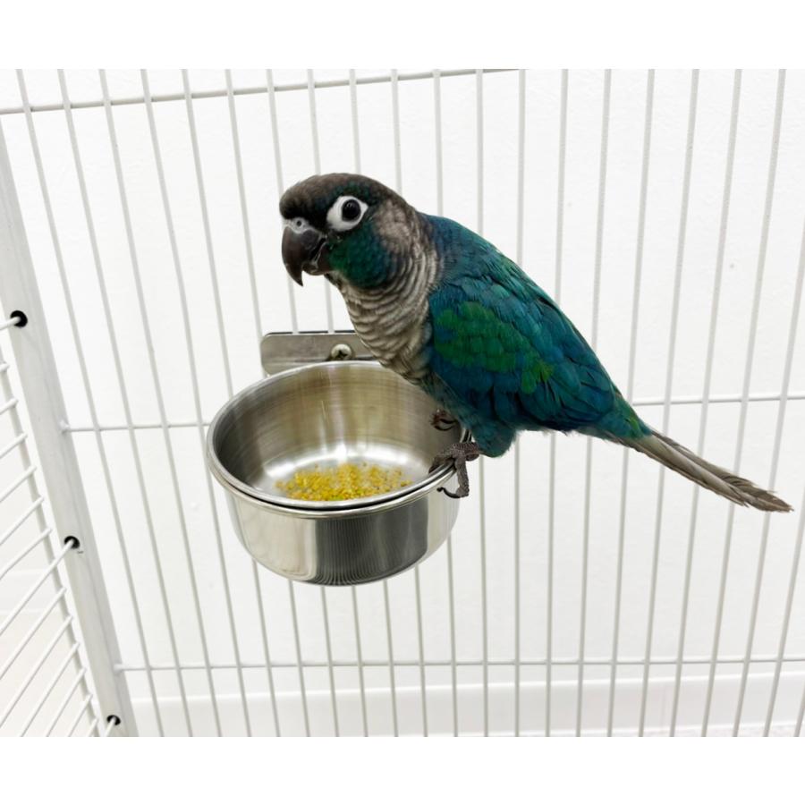 えとぴりかオリジナル　SLPCケージ75 インコ オウム ステンレス ケージ えとぴりかオリジナル 新SLPC