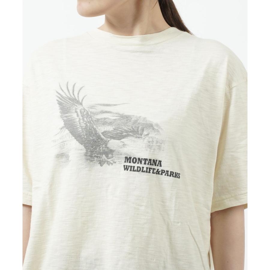 Shinzone　イーグル プリント カットソー THE SHINZONE（ザ シンゾーン） ザ シンゾーン Tシャツ カットソー