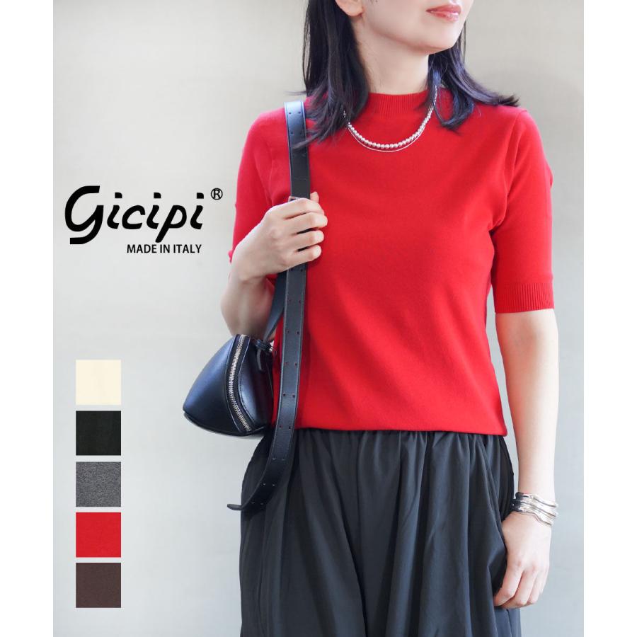 FRAMeWORK - GICIPIジチピ別注ボーダープルオーバータグ付き新品 ジチピ ARGENTOクルーネック5分袖ニットソー gicipi 2026春夏新作