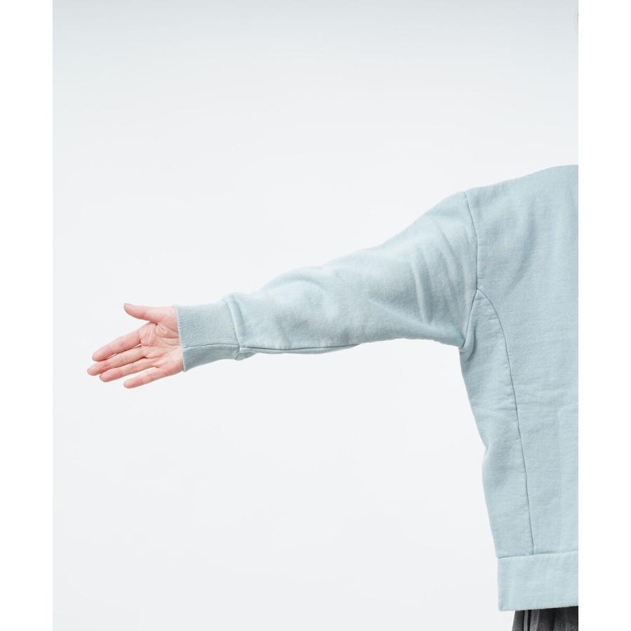 快晴堂 カイセイドウ 裏起毛 ロゴトレーナー D柄 ノルウェーの妖精