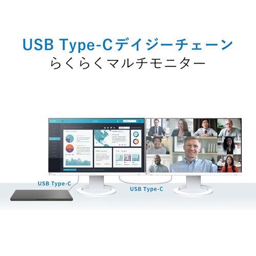 EIZO 液晶ディスプレイ ナナオ（EIZO） FlexScan EV2490-BK [液晶