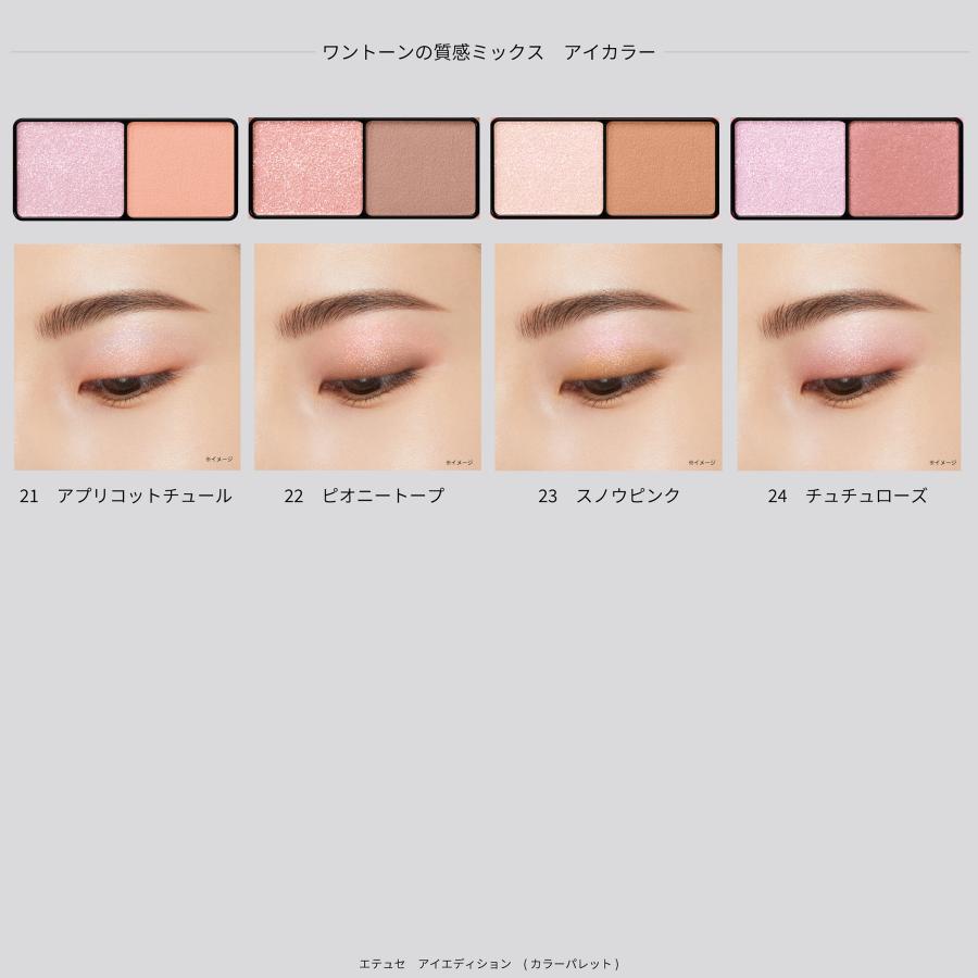 ettusais（エテュセ） アイエディション (カラーパレット) 17