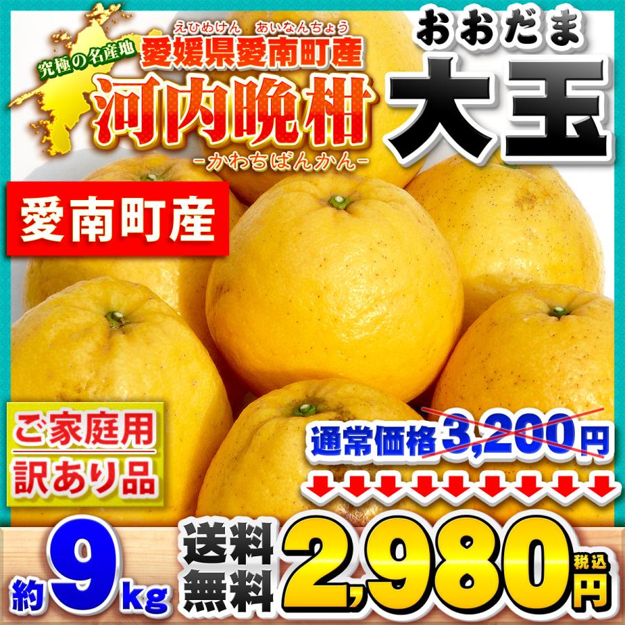 樹齢20年以上 河内晩柑 ご家庭用 大玉サイズ 約9kg BIG 愛媛県 愛南
