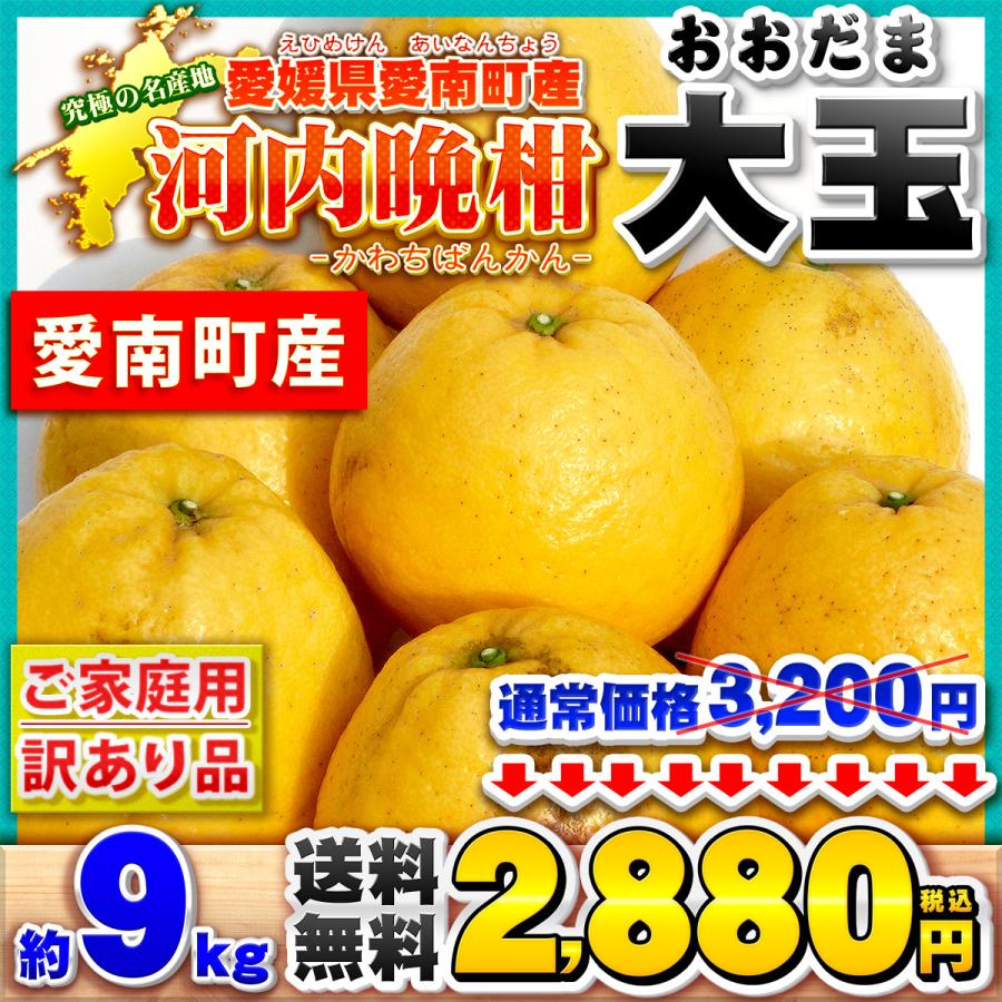 樹齢20年以上 河内晩柑 ご家庭用 大玉サイズ 約9kg BIG 愛媛県 愛南
