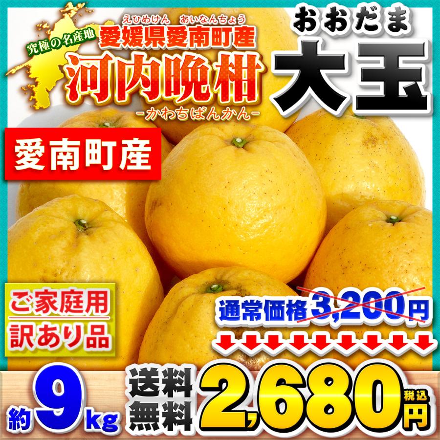 樹齢20年以上 河内晩柑 ご家庭用 大玉サイズ 約9kg BIG 愛媛県 愛南
