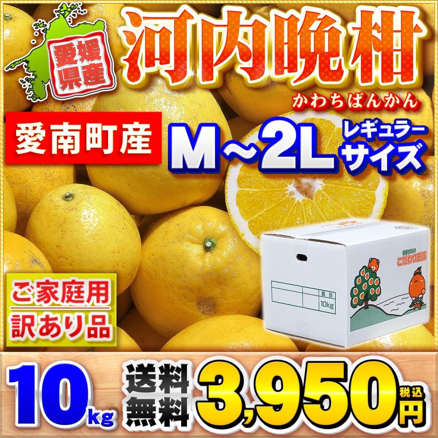 GABO様分　愛媛県産　河内晩柑　防腐剤不使用 【超訳あり】　40kg(箱込) ☆おまけでレモン付き☆ 樹齢20年以上 河内晩柑 ご家庭用 10kg 愛媛県
