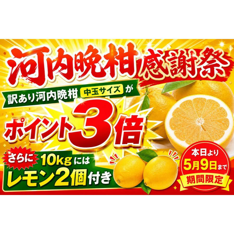 GABO様分　愛媛県産　河内晩柑　防腐剤不使用 【超訳あり】　40kg(箱込) 河内晩柑 訳あり 10kg 愛媛県産 送料無料 不揃い 2セット御購入でお得