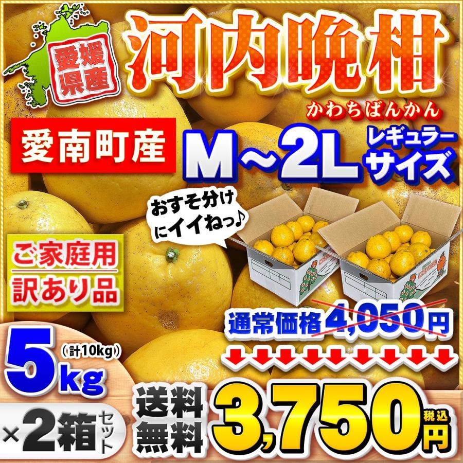樹齢20年以上 河内晩柑 ご家庭用 小箱5kg×2箱セット 合計10kg 愛媛県