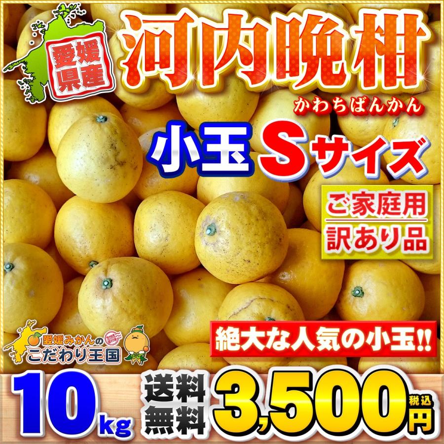 樹齢20年以上 河内晩柑 小玉 Sサイズ ご家庭用 10kg 小粒 の
