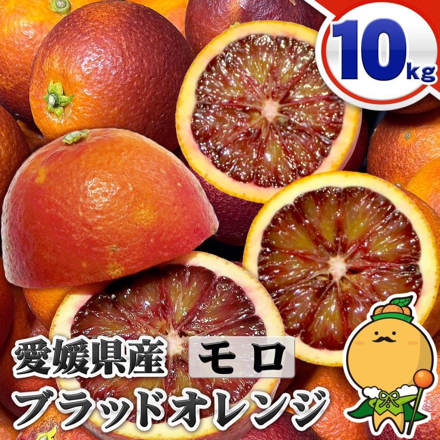 ブラッドオレンジ モロ 10kg 自宅用 愛媛県 宇和島産 サイズおまかせ 