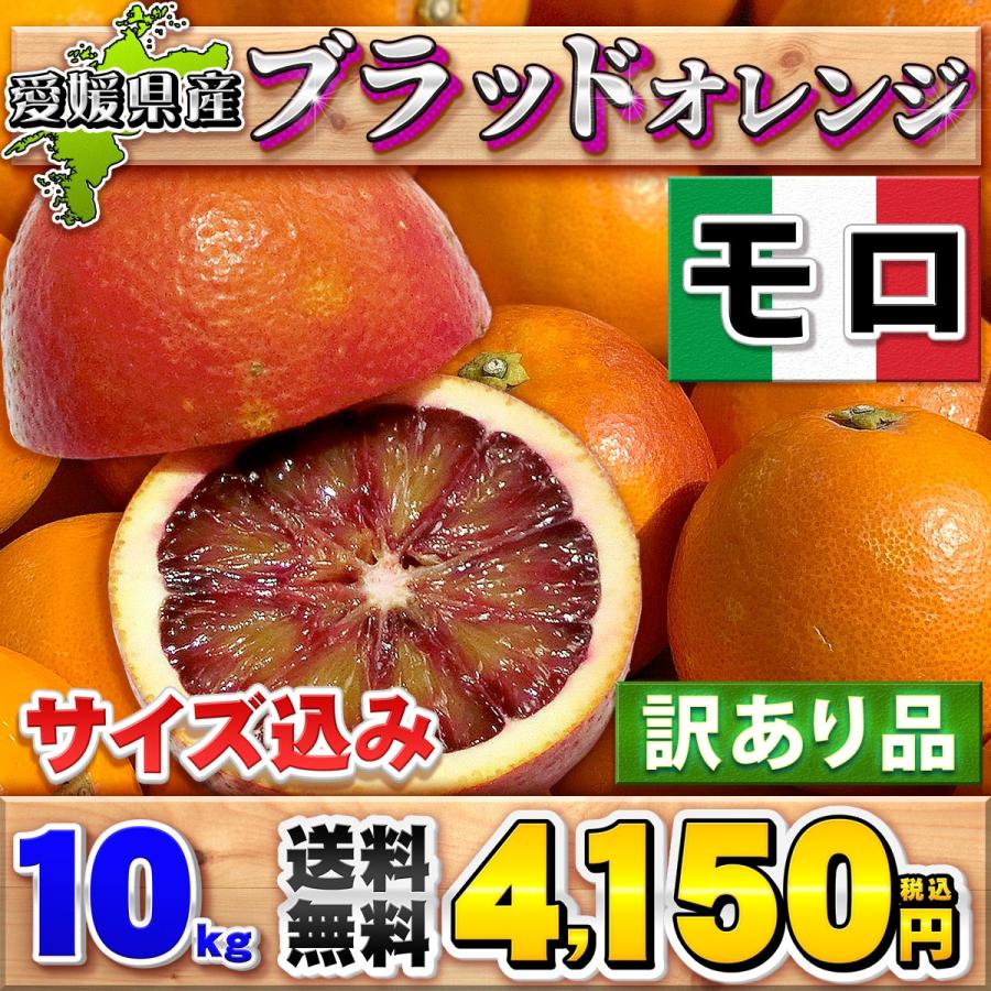 ブラッドオレンジ モロ 10kg 自宅用 愛媛県 宇和島産 サイズおまかせ 