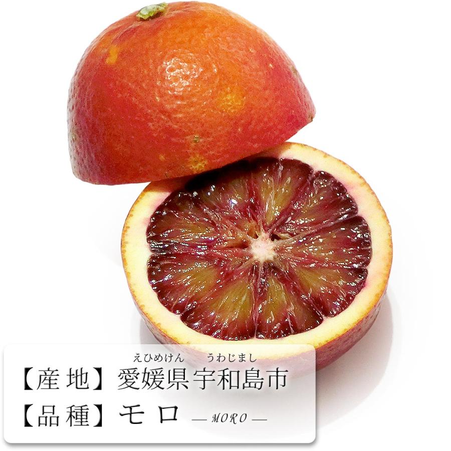 725ブラッドオレンジ　モロ　柑橘約3kg+美娘９~12玉入り3箱玉数お任せ ブラッドオレンジ モロ 3kg 自宅用 愛媛県宇和島産 大きさ おまかせ