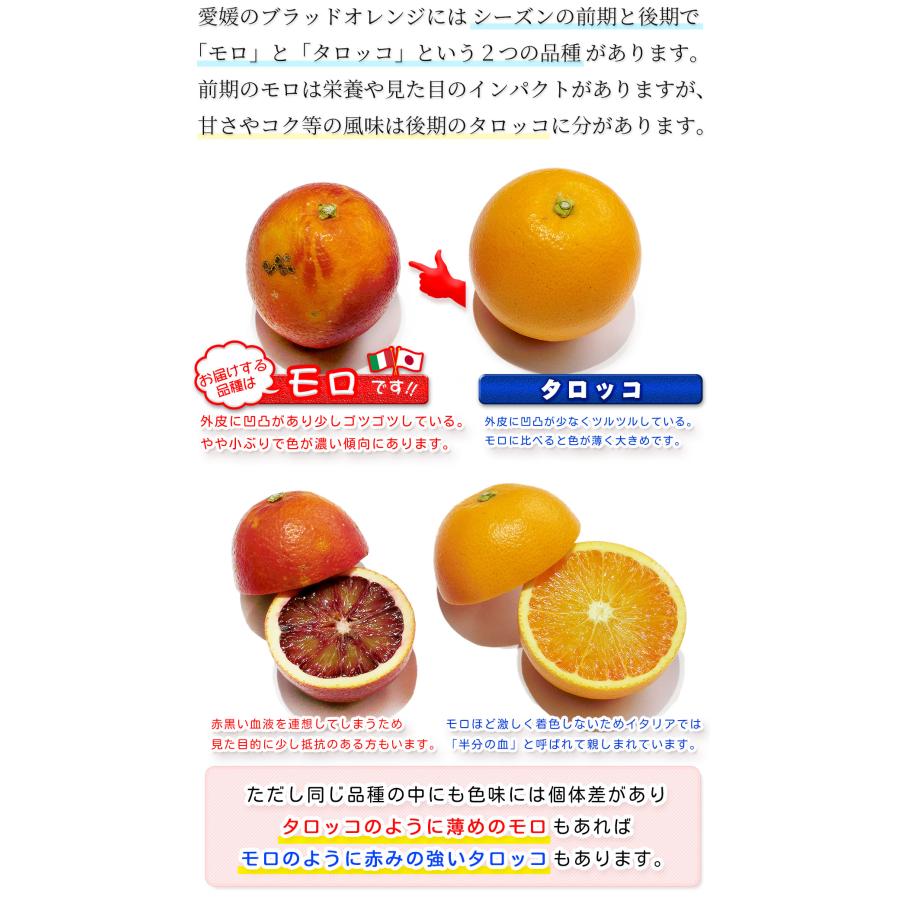 725ブラッドオレンジ　モロ　柑橘約3kg+美娘９~12玉入り3箱玉数お任せ ブラッドオレンジ モロ 3kg 自宅用 愛媛県宇和島産 大きさ おまかせ
