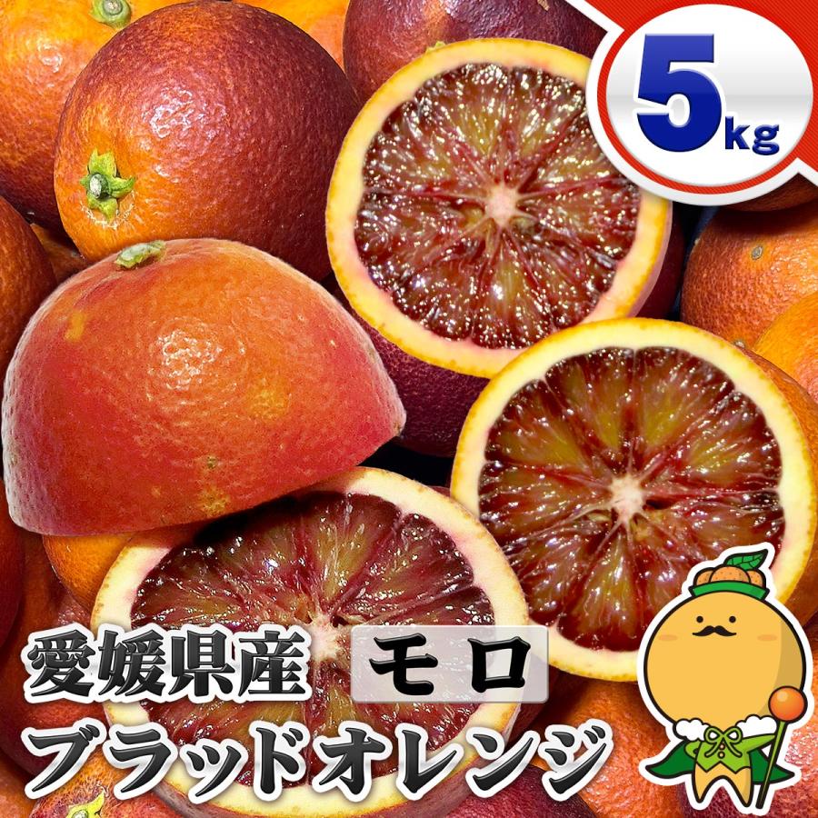 愛媛県産 訳あり なつみ 10kg ブラッドオレンジ 3キロ 楽天市場 | 愛媛