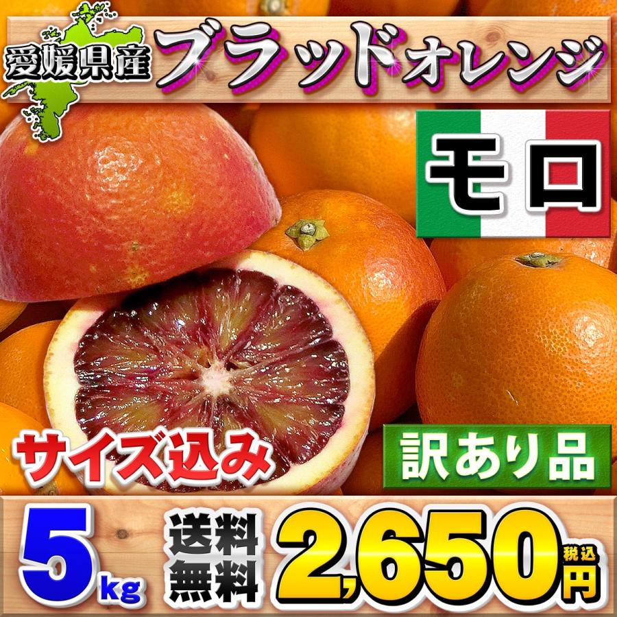 ブラッドオレンジ モロ 5kg 自宅用 愛媛県宇和島産 大きさ おまかせ