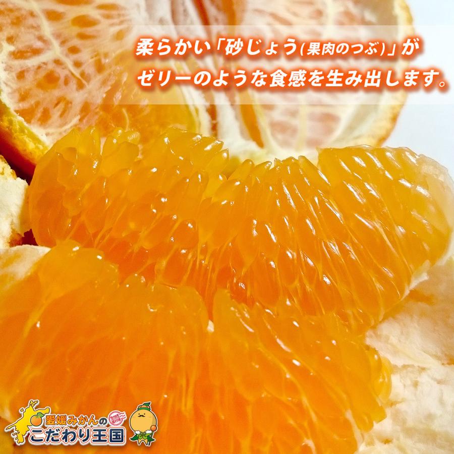 愛媛県産 デコちゃん 9kg 家庭用 自宅用 訳あり デコポン と同品種