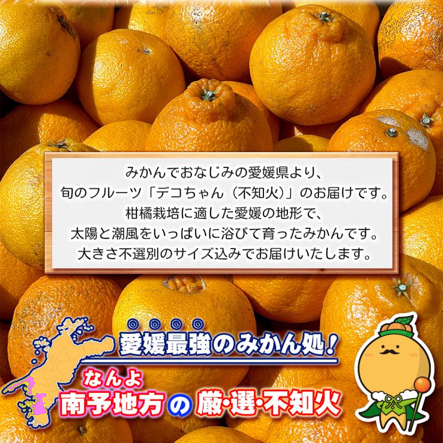 131.愛知県産　デコポン（不知火）約20kg家庭用 10kg×2箱届く【限定数】超特価！不知火 しらぬい 20kg デコポン みかん