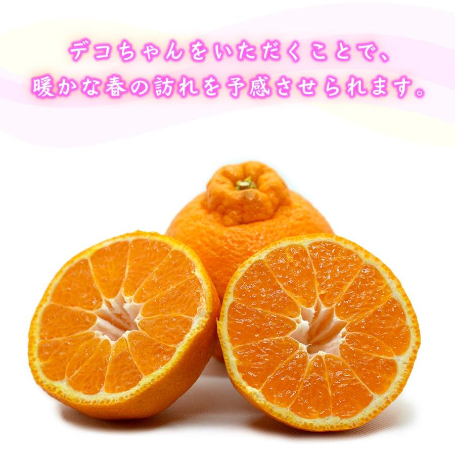 愛媛県産 デコちゃん 9kg 家庭用 自宅用 訳あり デコポン と同品種
