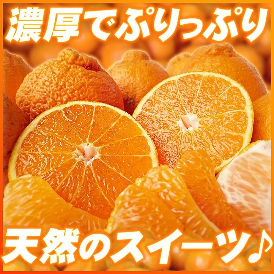 愛媛県産 デコちゃん 9kg 家庭用 自宅用 訳あり デコポン と同品種