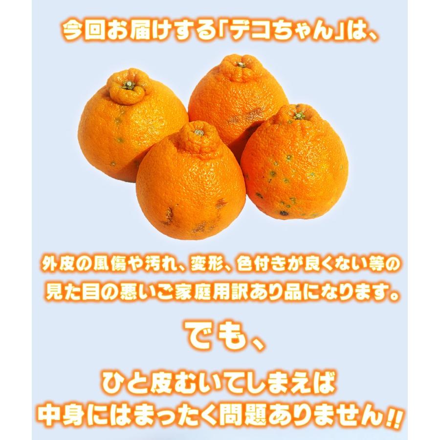 愛媛県産 デコちゃん 9kg 家庭用 自宅用 訳あり デコポン と同品種