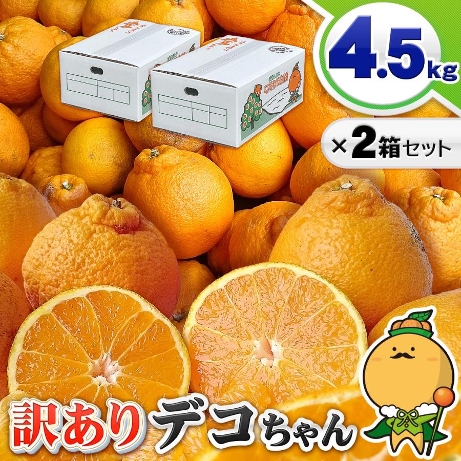 愛媛県産 デコちゃん 4.5kg×2箱セット 家庭用 自宅用 訳あり 愛媛県産 デコちゃん 4.5kg×2箱セット 家庭用 自宅用 訳あり