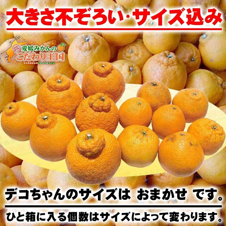愛媛県産 デコちゃん 4.5kg×2箱セット 家庭用 自宅用 訳あり 愛媛県産 デコちゃん 4.5kg×2箱セット 家庭用 自宅用 訳あり