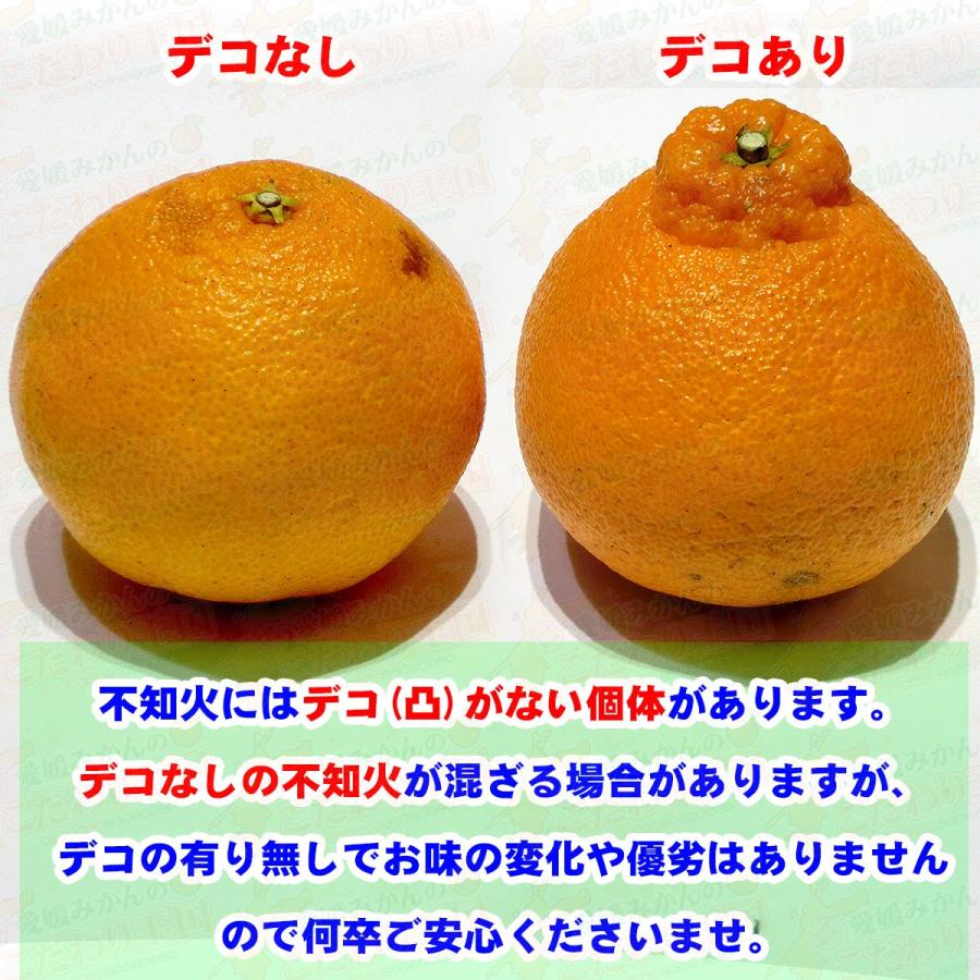 愛媛県産 デコちゃん 4.5kg 家庭用 自宅用 訳あり デコポン と同 愛媛県産 デコちゃん 4.5kg 家庭用 自宅用 訳あり デコポン と同