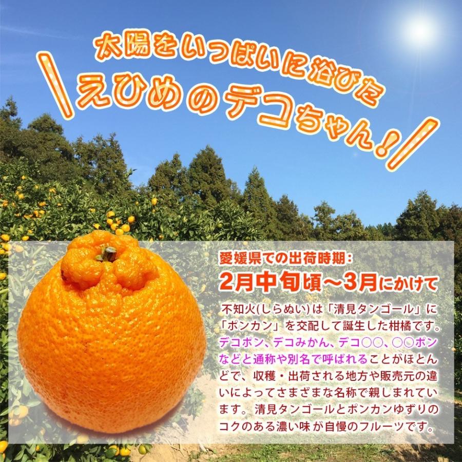 愛媛県産 デコちゃん 4.5kg 家庭用 自宅用 訳あり デコポン と同 愛媛県産 デコちゃん 4.5kg 家庭用 自宅用 訳あり デコポン と同