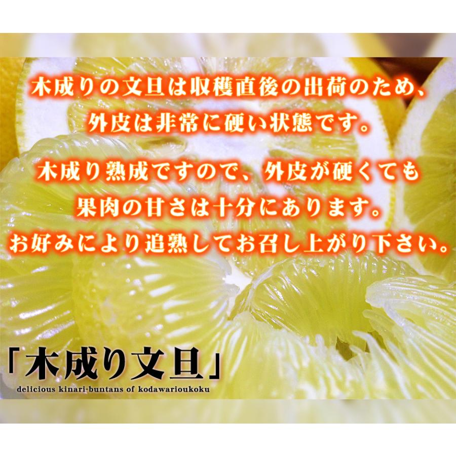 超訳あり 可哀そうな土佐文旦 10kg 愛媛県 愛南町産 特に訳あり サイズ混合 自宅用 ご家庭用 とさぶんたん 愛南 文旦 箱買い 10キロ｜eu-oukoku｜18