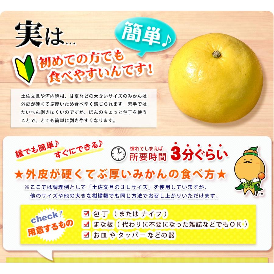 木成りライム10kg特別栽培愛媛産 木成り 土佐文旦 M 〜 2L サイズ 10kg 自宅用 家庭用 訳あり 愛媛県 愛