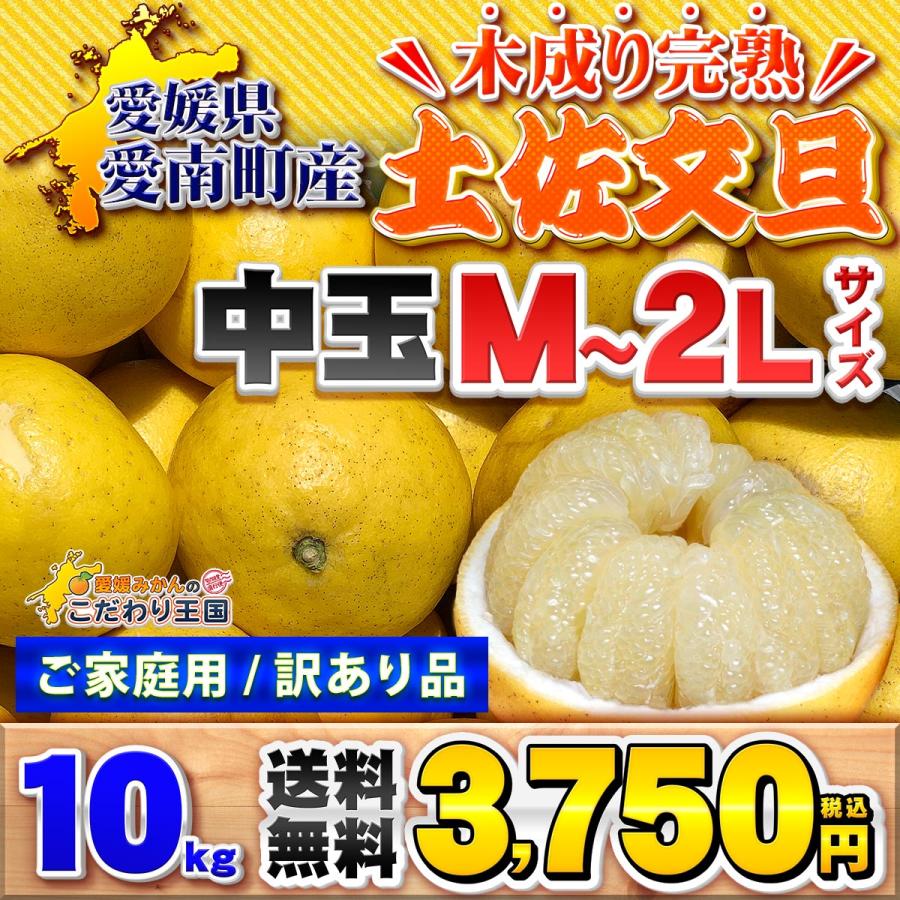 木成り 土佐文旦 M 〜 2L サイズ 10kg 自宅用 家庭用 訳あり 愛媛県 愛