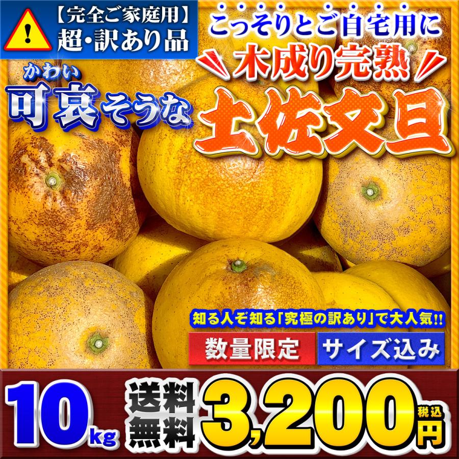 超訳あり】可哀そうな 木成り完熟土佐文旦 M 〜 2L サイズ 10kg