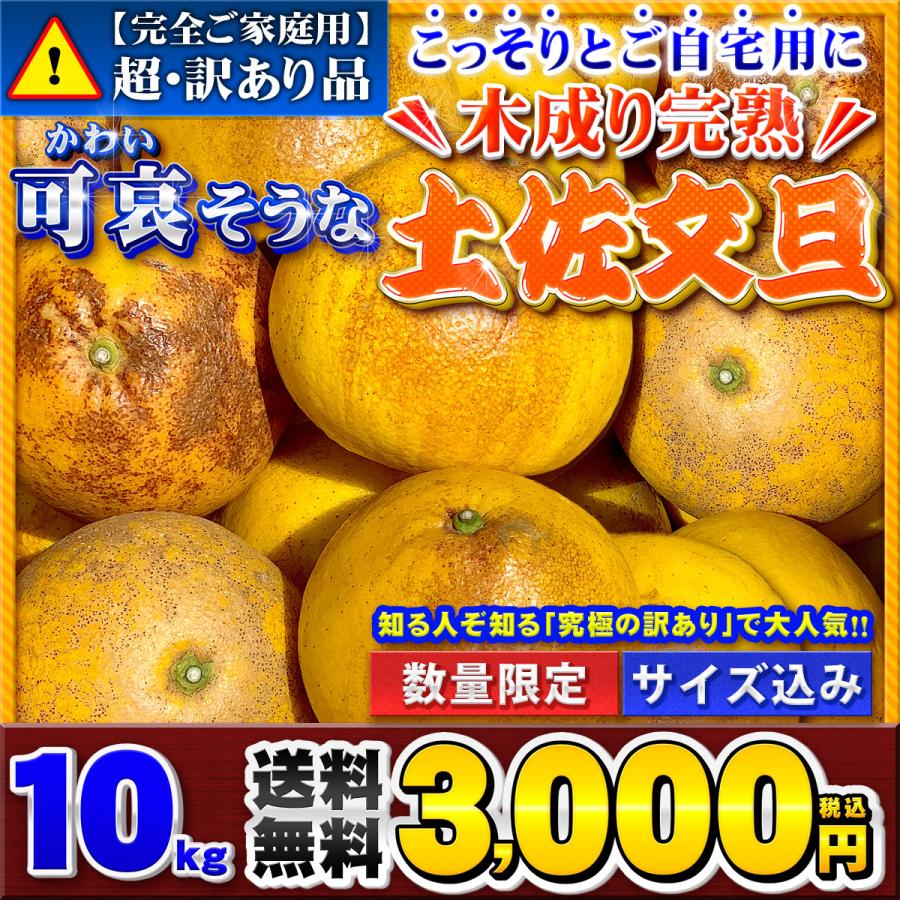 超訳あり】可哀そうな 木成り完熟土佐文旦 M 〜 2L サイズ 10kg 自宅用