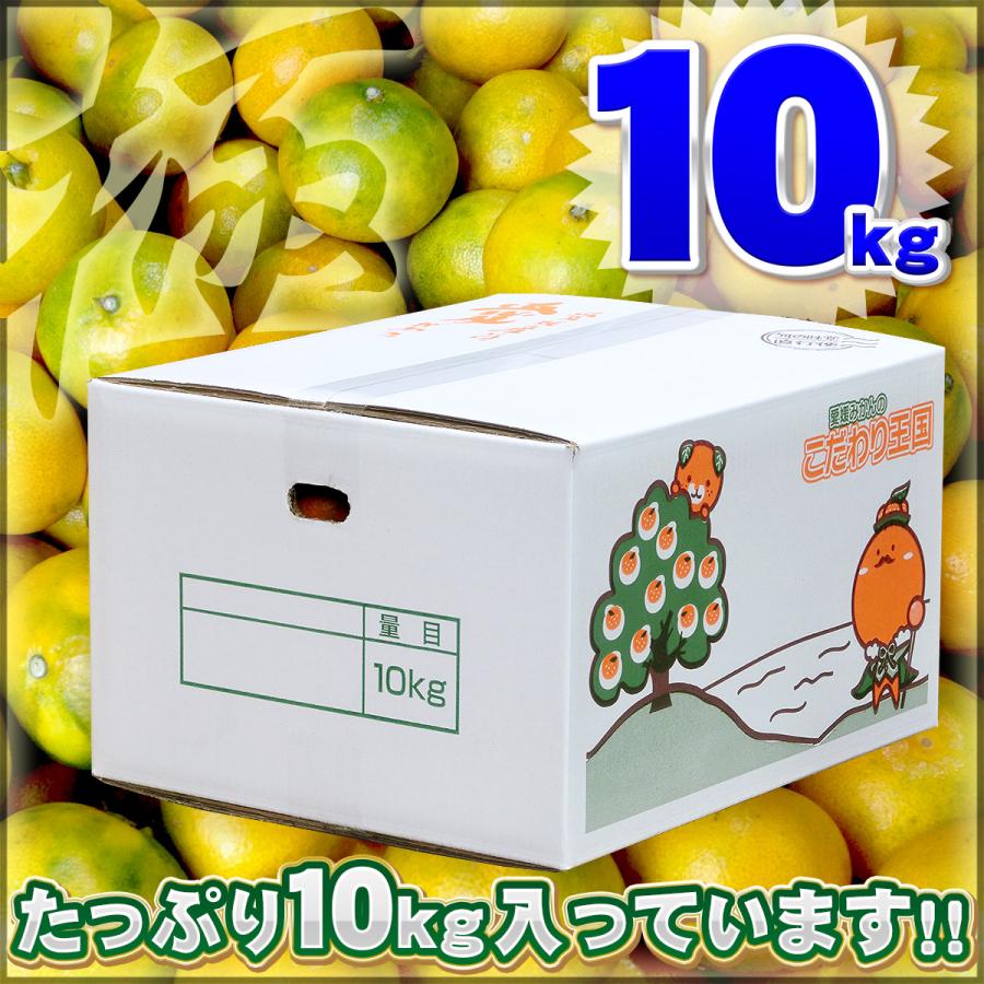 りちゃん様専用 伊予柑10キロ 23箱 【公式通販】