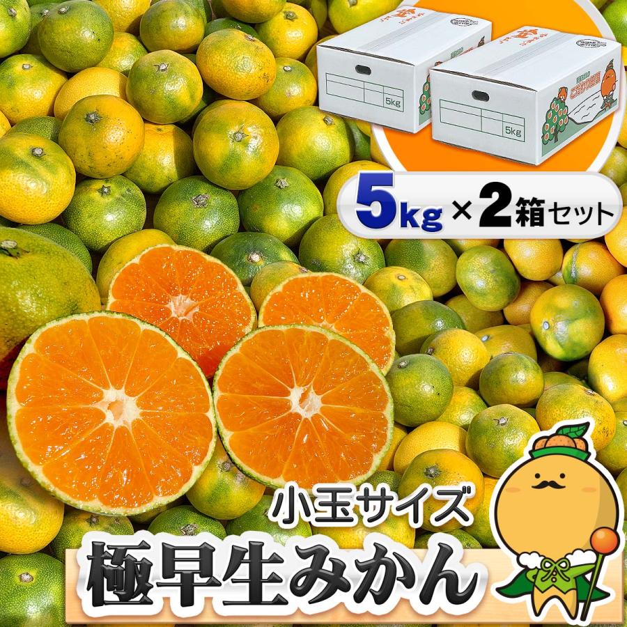 極早生みかん 小玉 5kg×2箱セット 愛媛県産 小玉みかん 自宅用
